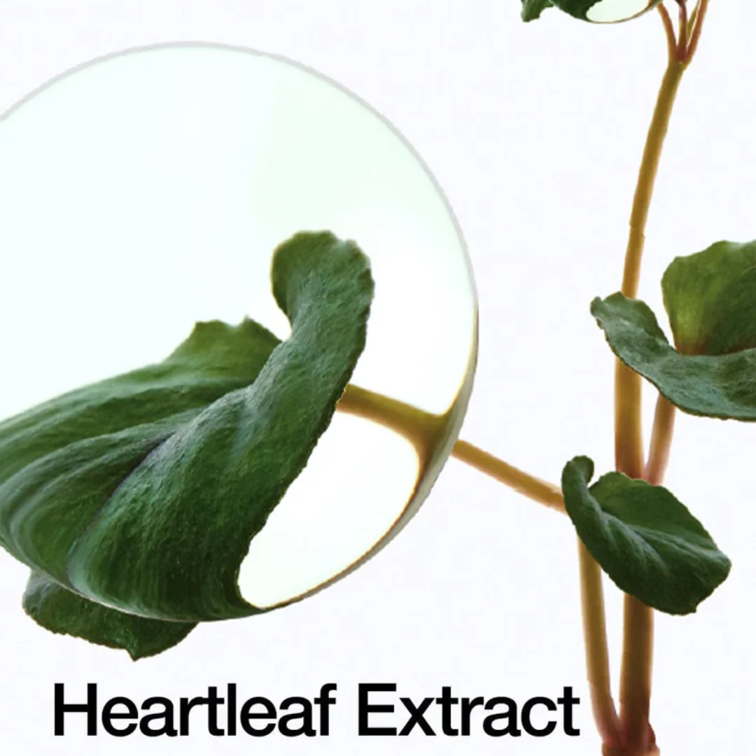 ANUA Heartleaf 70 Daily Lotion 200ml - Image 4