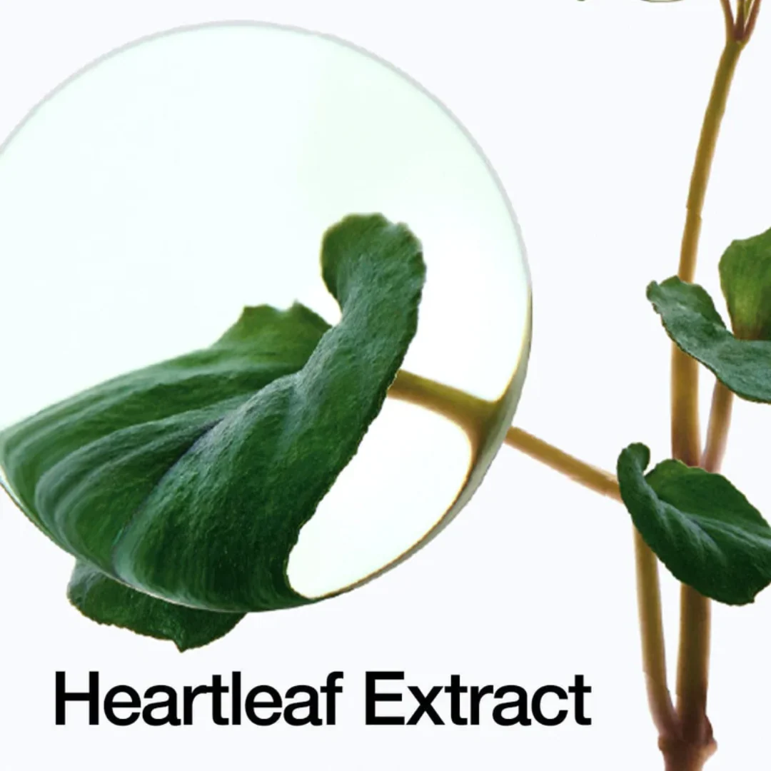 ANUA Heartleaf 70% Intense Calming Cream 50mL - Image 4