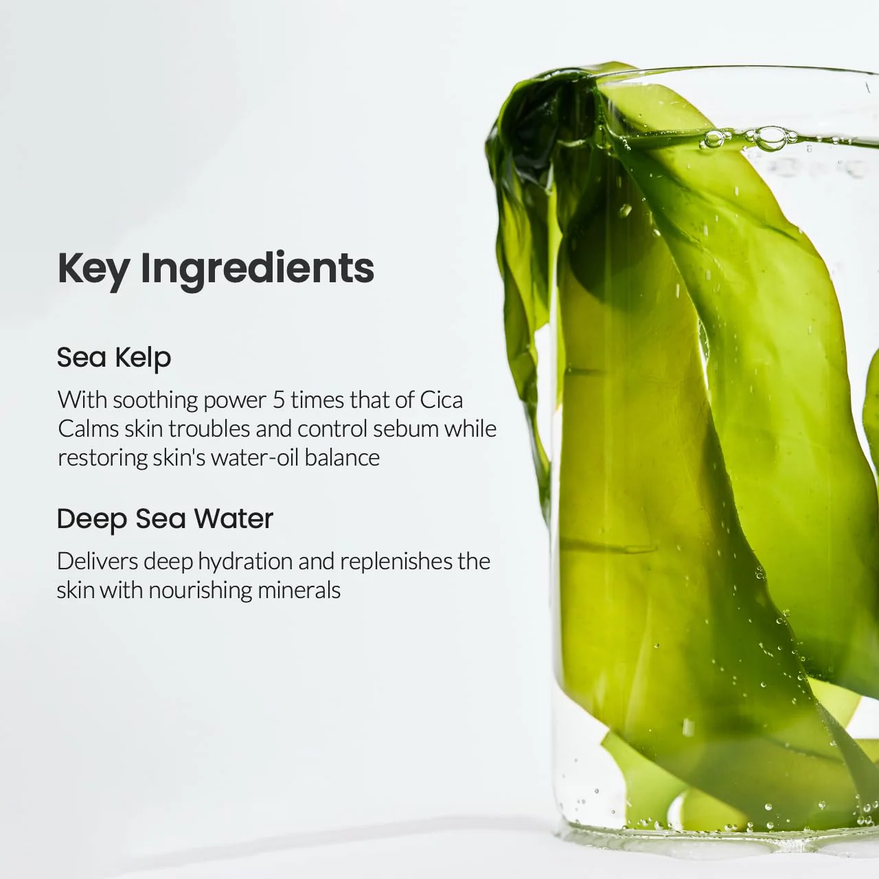 Biodance Refreshing Sea Kelp Real Deep Mask 1ea - Image 5