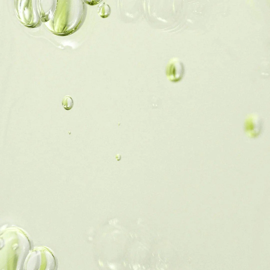Beauty of Joseon Calm Serum : Green Tea + Panthenol - Image 5
