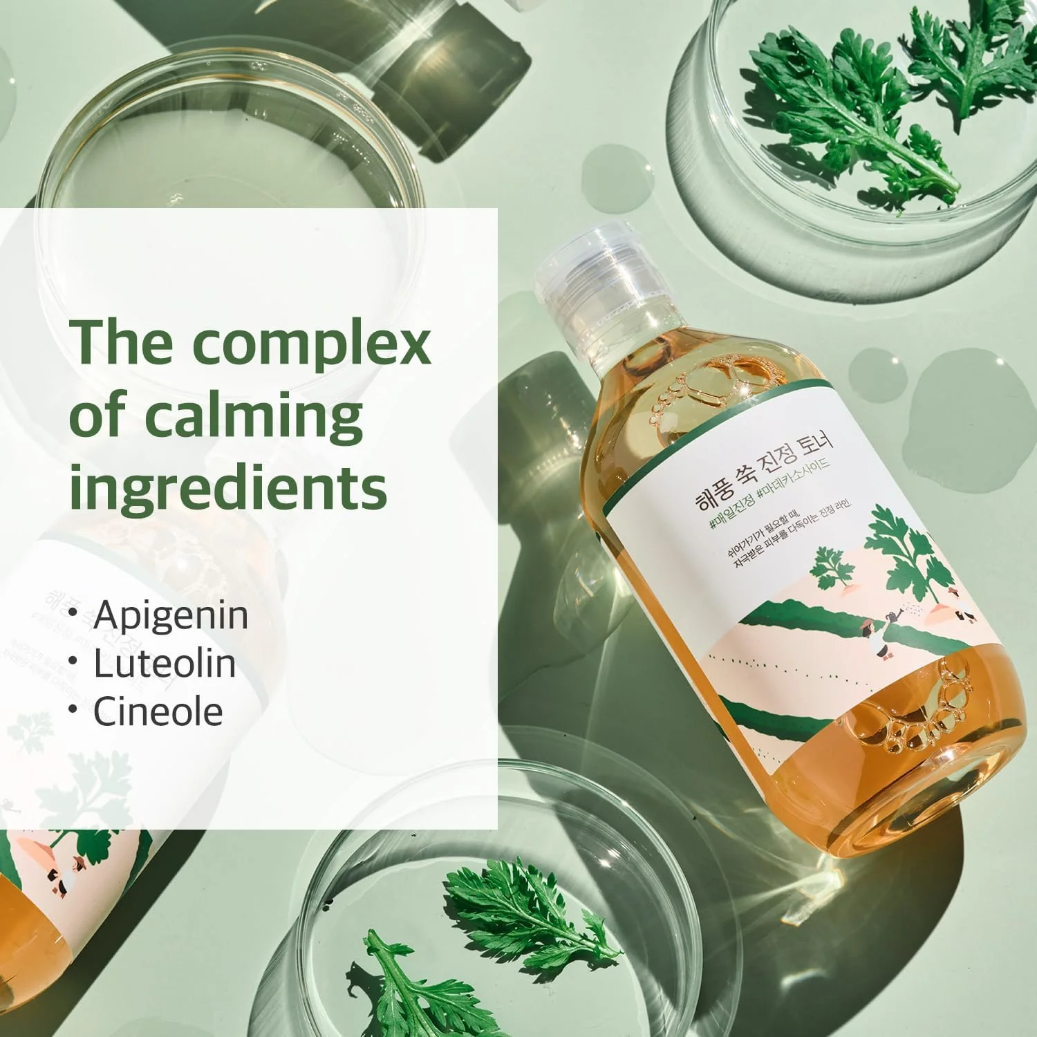 ROUND LAB Mugwort Calming Toner 300ml - Image 4
