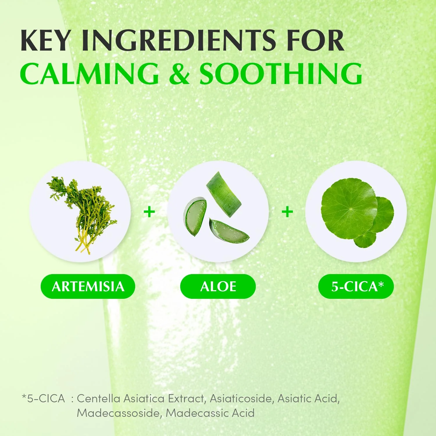 EQQUALBERRY Aloe Pdrn Calming Serum 30mL - Image 5