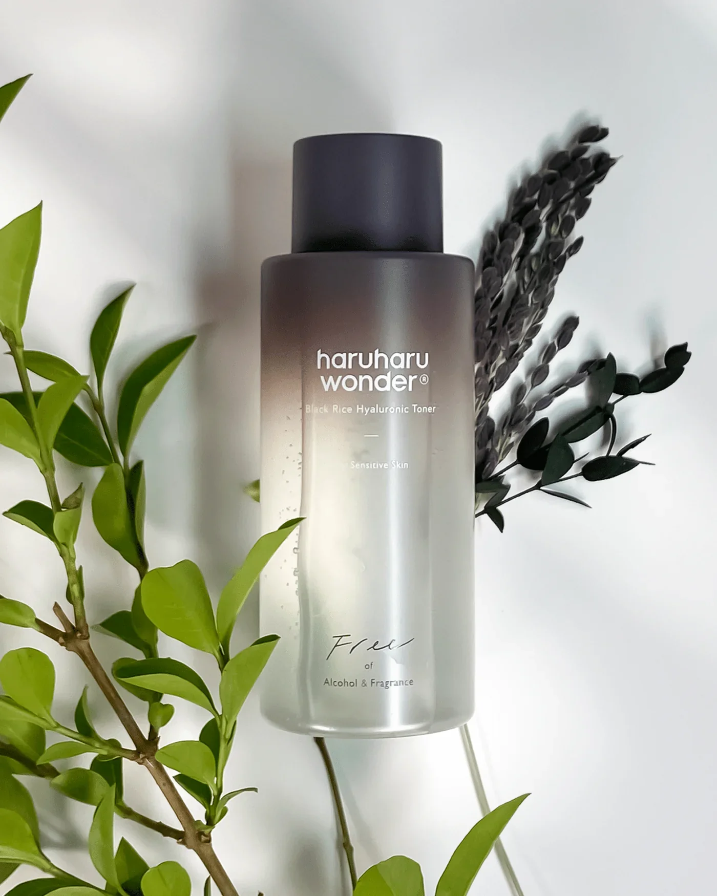 HARUHARU WONDER Black Rice Toner 150mL - Image 2