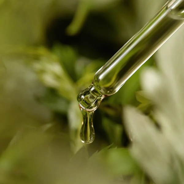 I'm from Mugwort Serum 30ml - Image 6