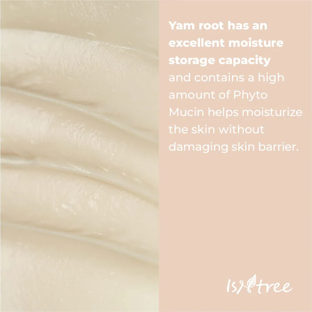 ISNTREE Yam Root Milk Tone Up Sun Cream SPF50+ PA++++ 50ml - Image 4