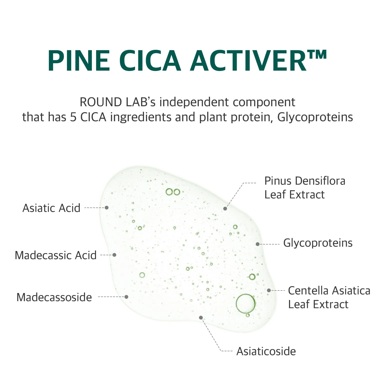 ROUND LAB Pine Calming Cica Ampoule 30ml - Image 6