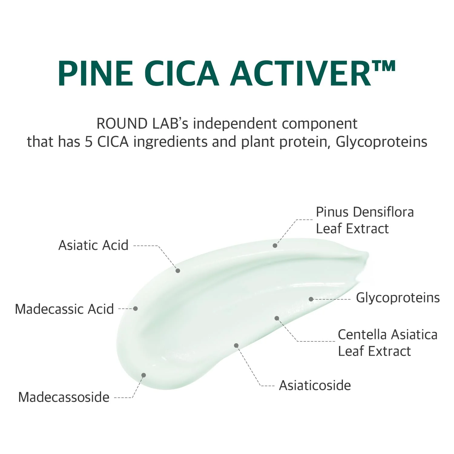 ROUND LAB Pine Calming Cica Cream 50ml - Image 4