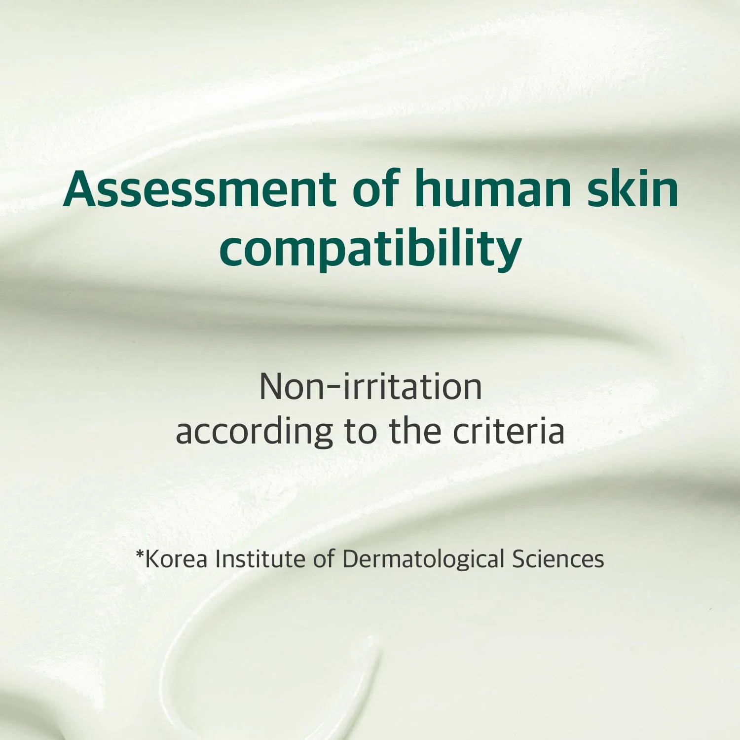 ROUND LAB Pine Calming Cica Cream 50ml - Image 8