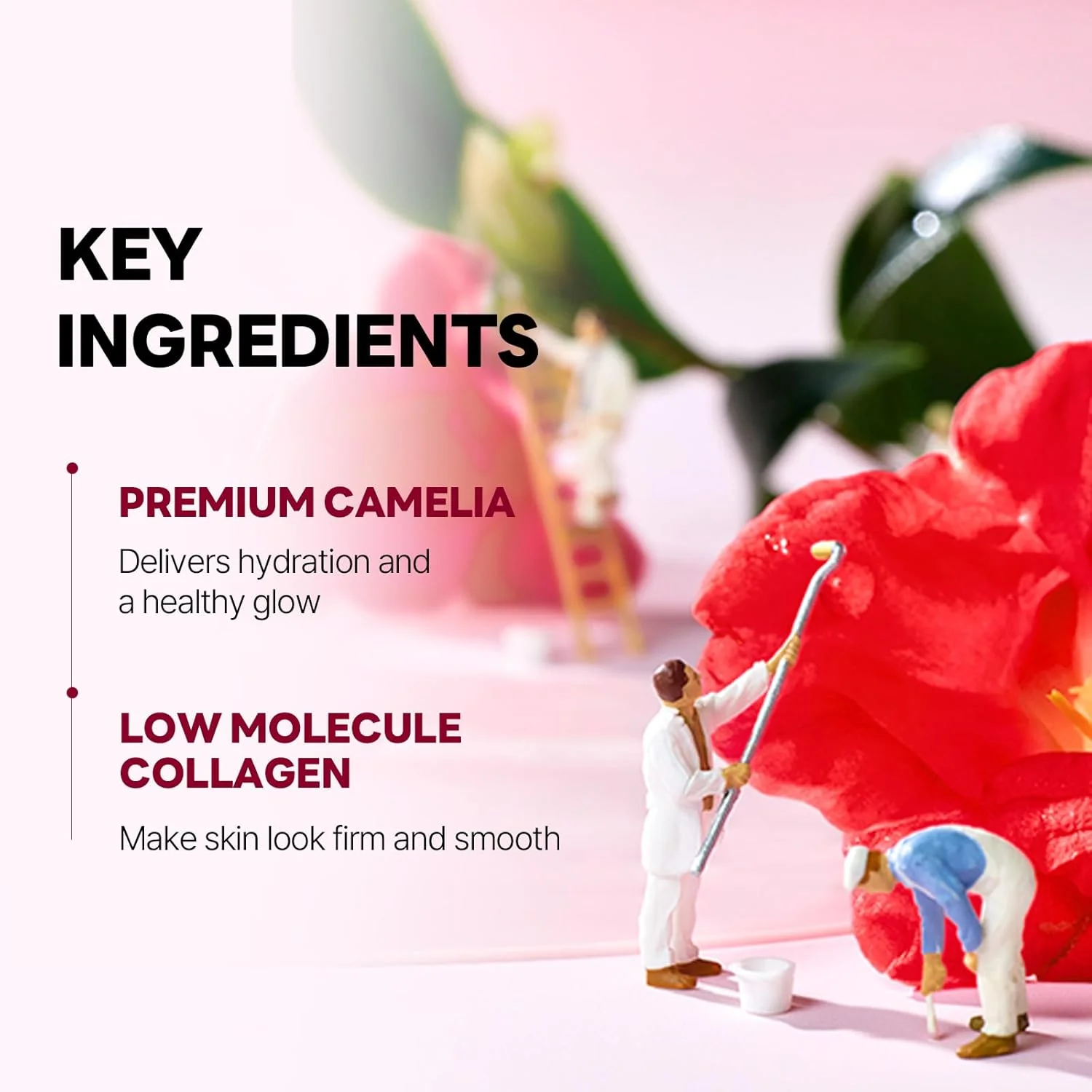 ROUND LAB Camellia Deep Collagen Firming Gel Mask 1 ea - Image 5